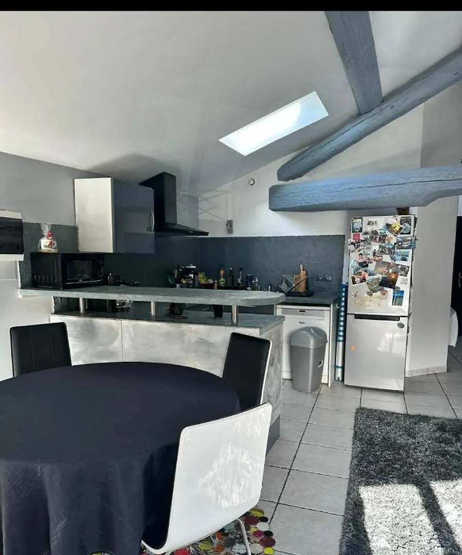Apartment Appart Proche Perolliere Et Gare Ouest Lyonnais Sain-Bel