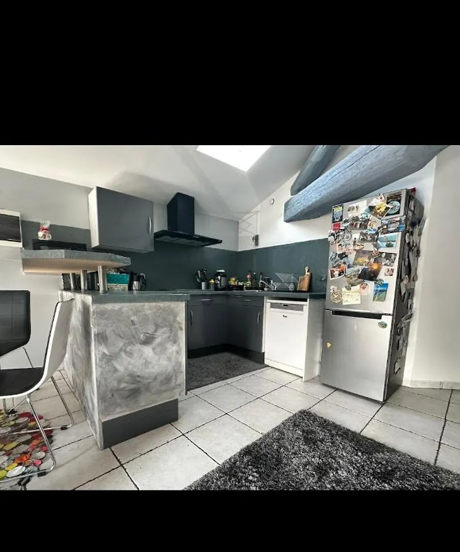Appart Proche Perolliere Et Gare Ouest Lyonnais Sain-Bel Apartment