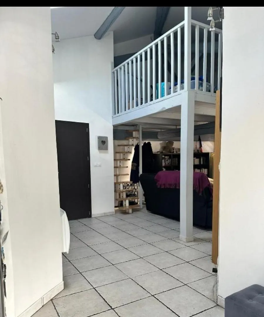 Apartment Appart Proche Perolliere Et Gare Ouest Lyonnais Sain-Bel France